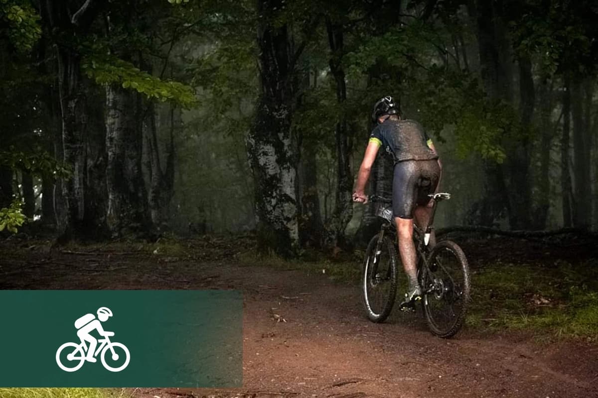 Mountain biking on a trail