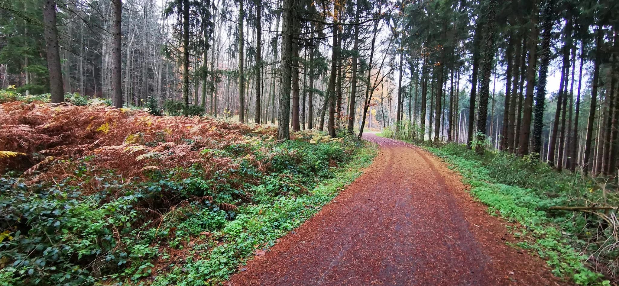 Cycling and mountain biking route through the Eifel