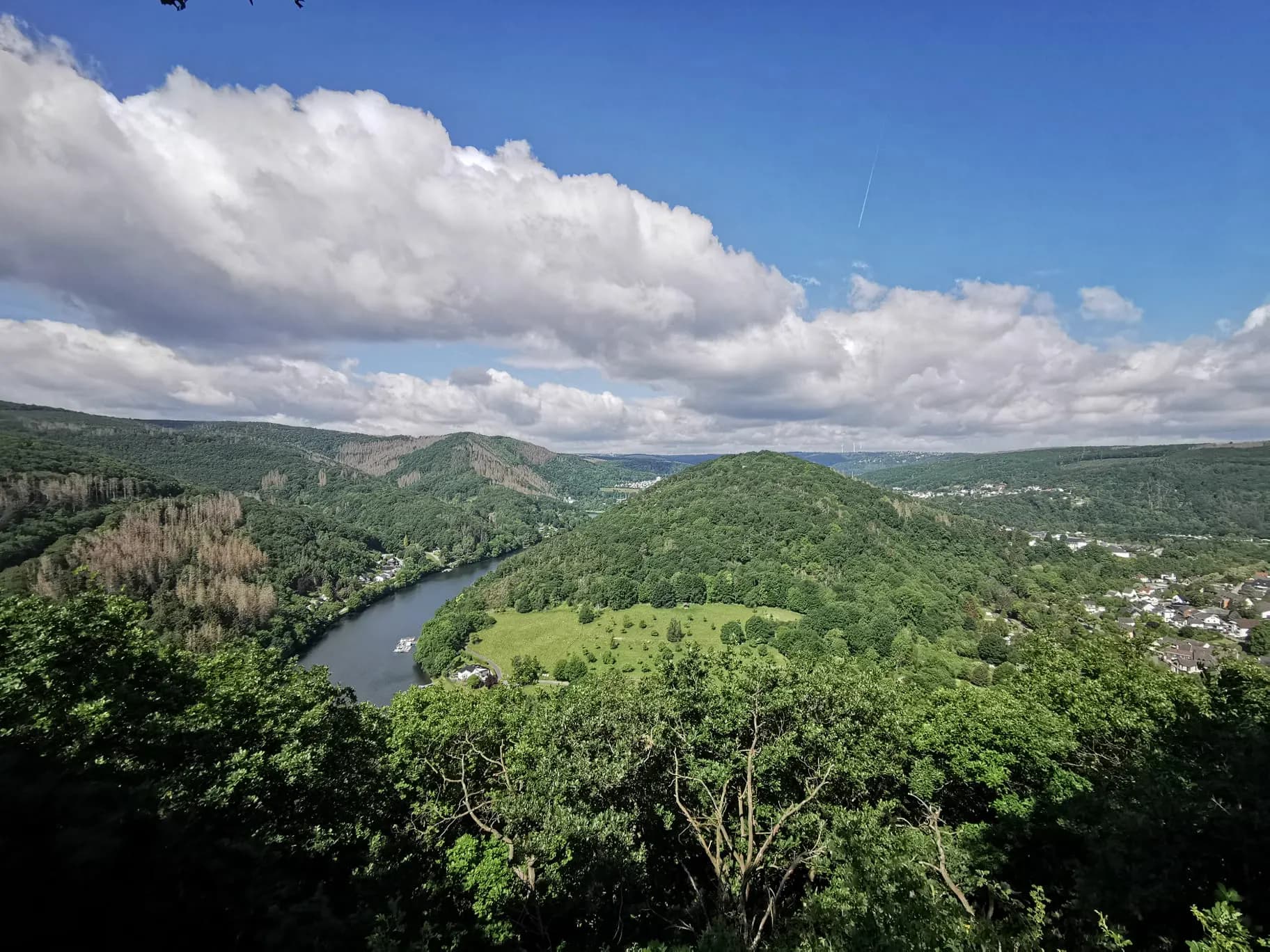 Forest and mountain landscape in the Eifel region