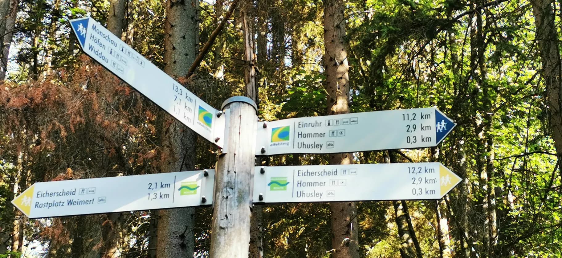 Natural landscape and hiking trails in the German Eifel