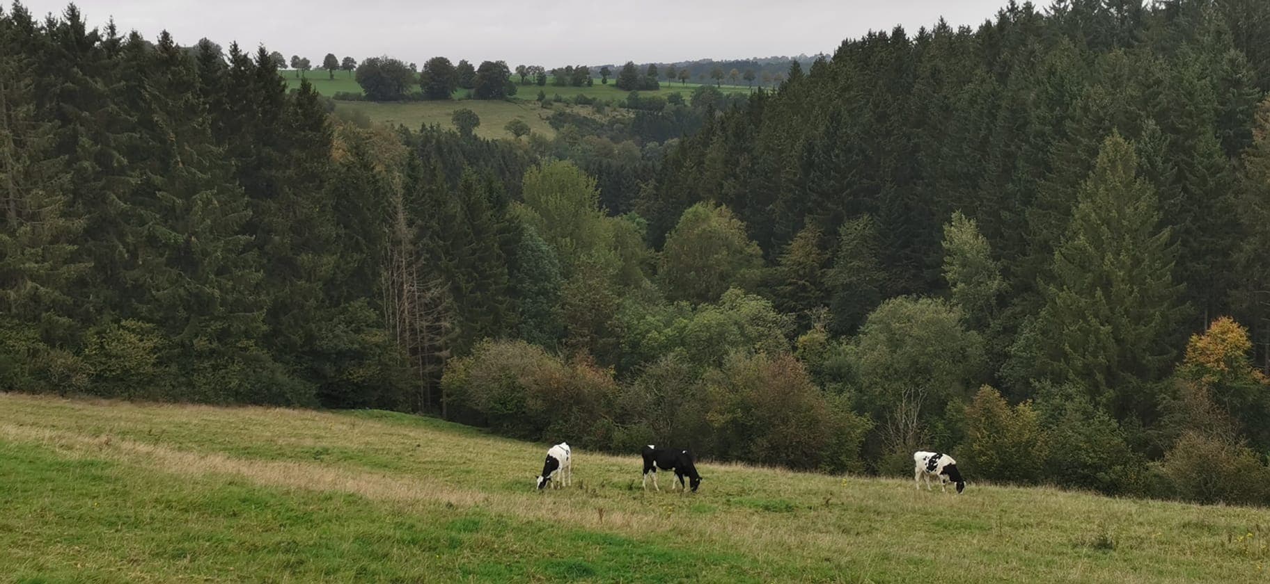 Hills and outdoor landscape of South Limburg