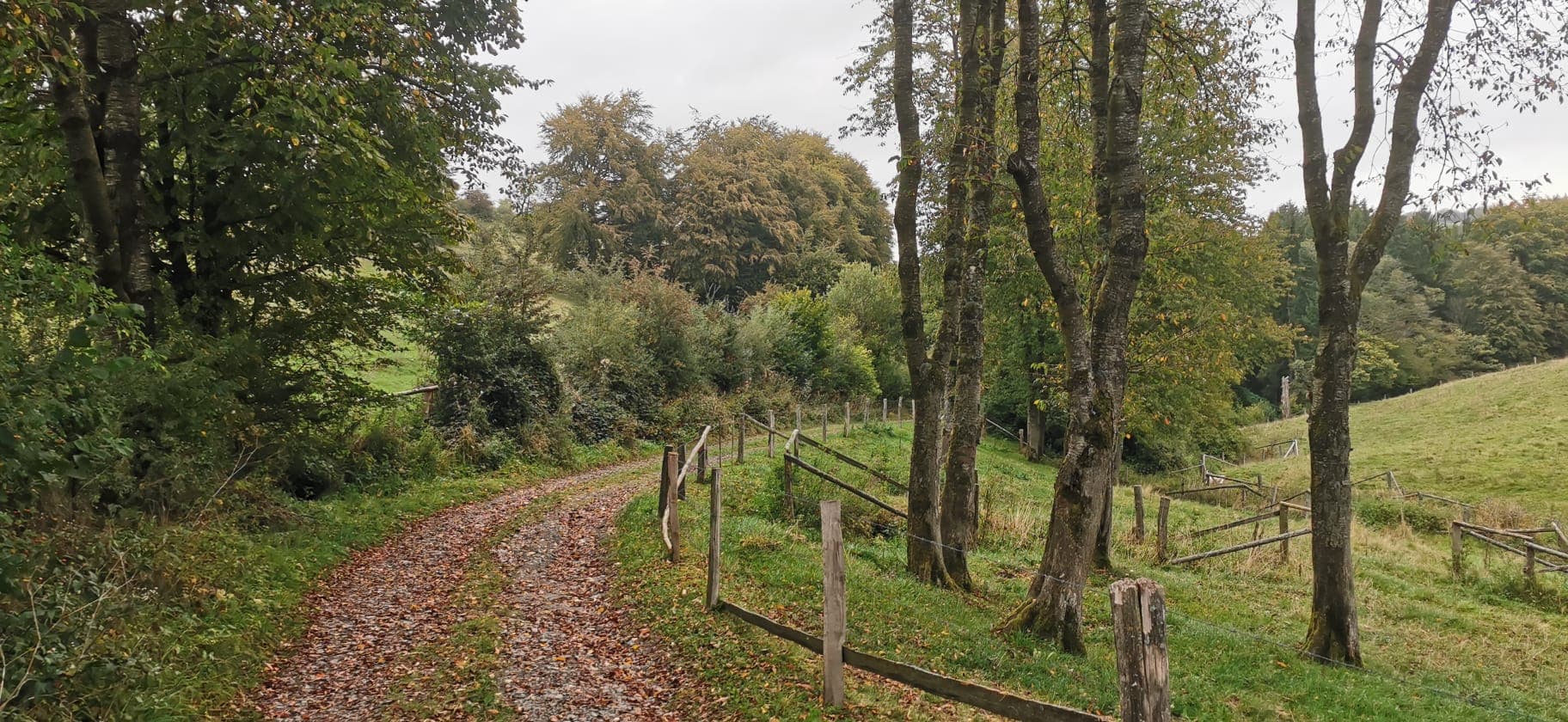 Panoramic landscape in South Limburg
