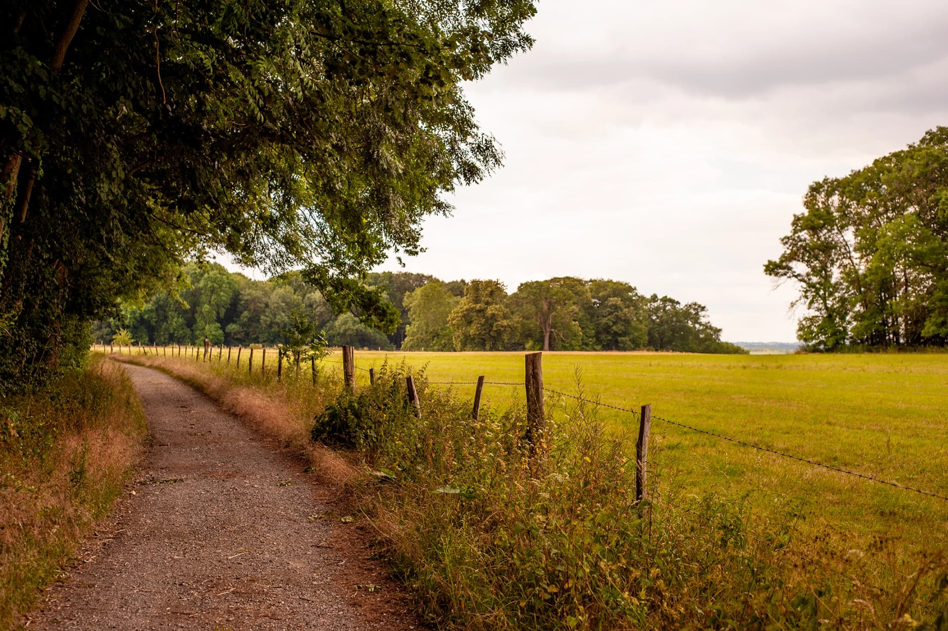 Walking landscape in the hills of South Limburg