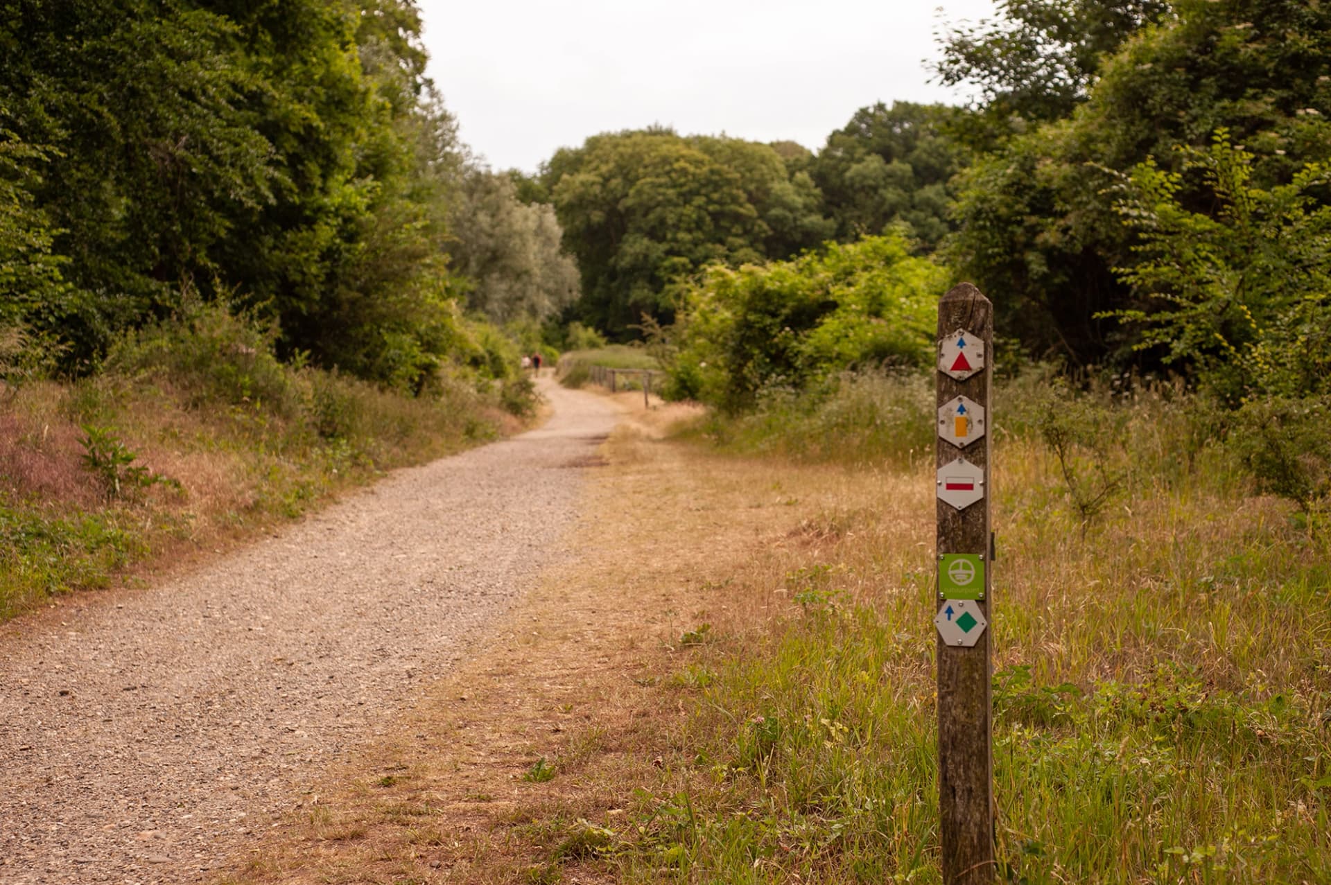 Nature and countryside in South Limburg
