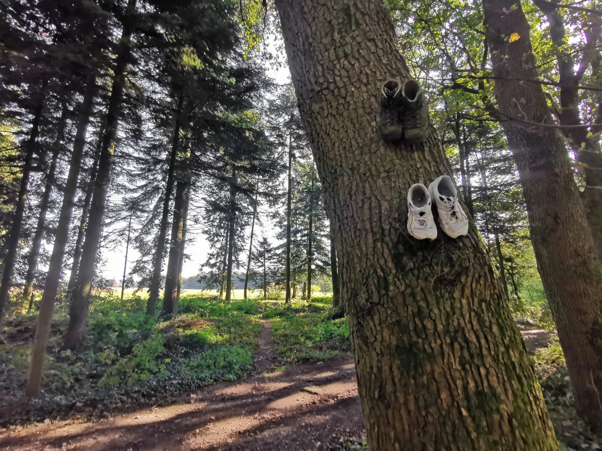 Hiking through the South Limburg landscape