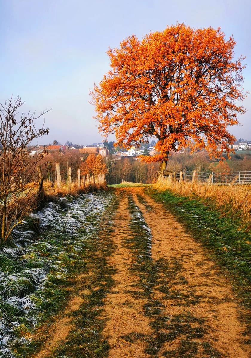 Trail and countryside conditions in South Limburg
