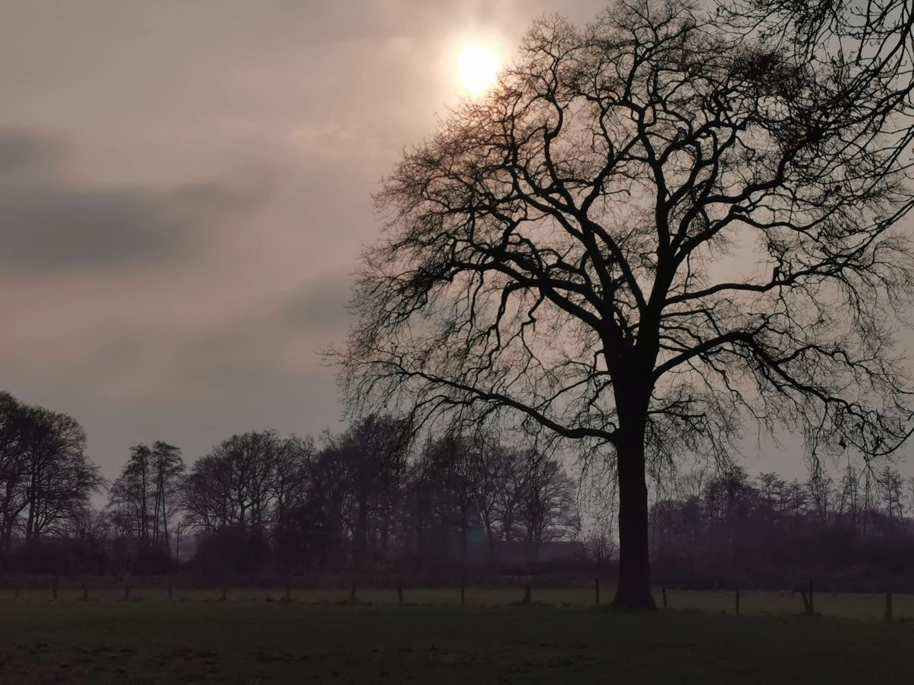 Safentura trail reports and safety information for South Limburg
