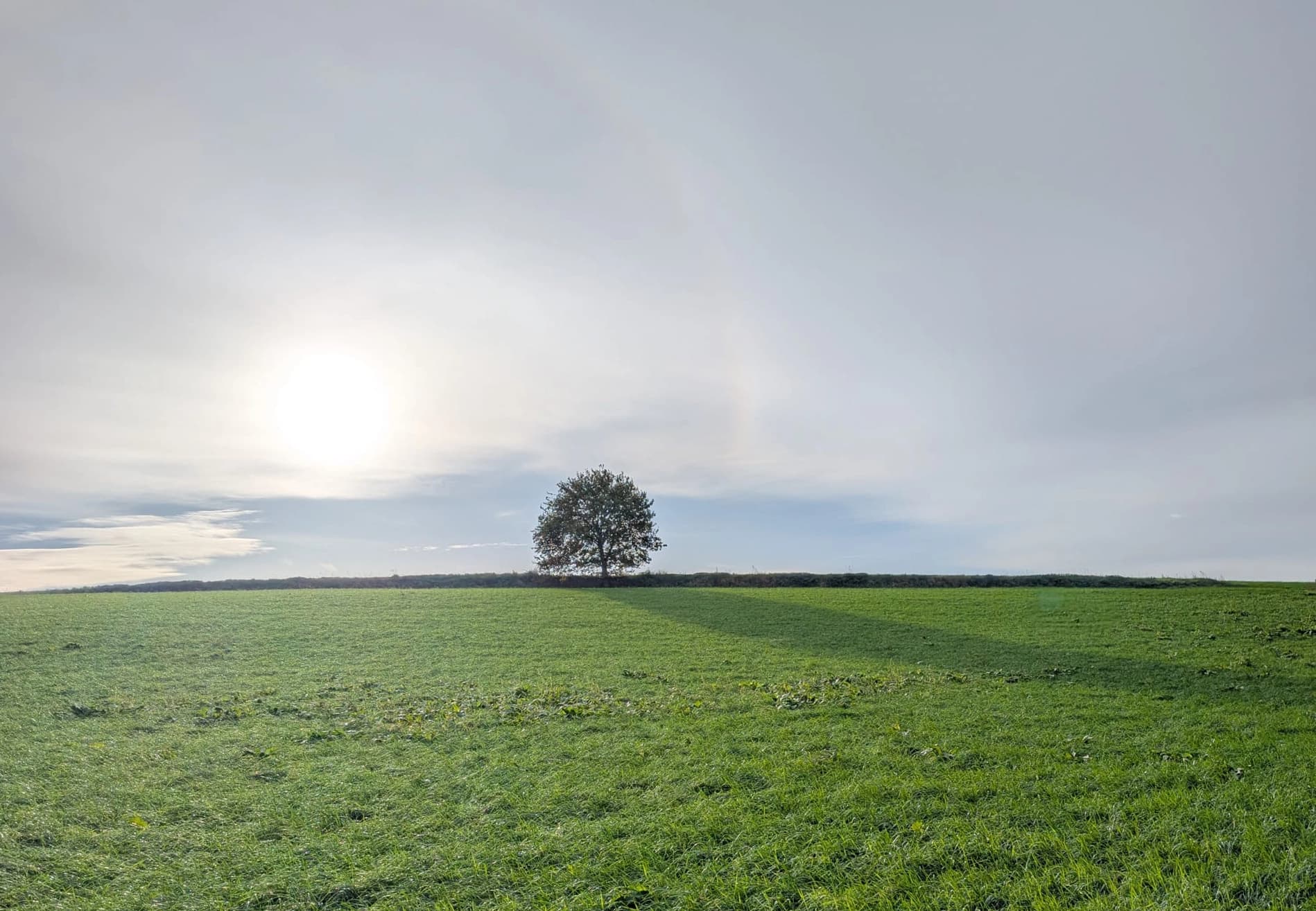 Outdoor trail landscape in South Limburg