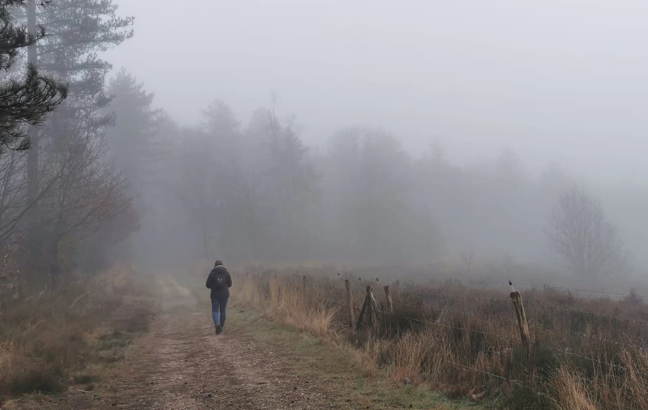 Trail running in South Limburg